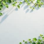 découvrez comment la peinture à la chaux permet à vos murs de respirer tout en offrant une finition naturelle et durable pour votre maison.